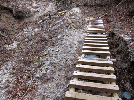 20200110hike (310)